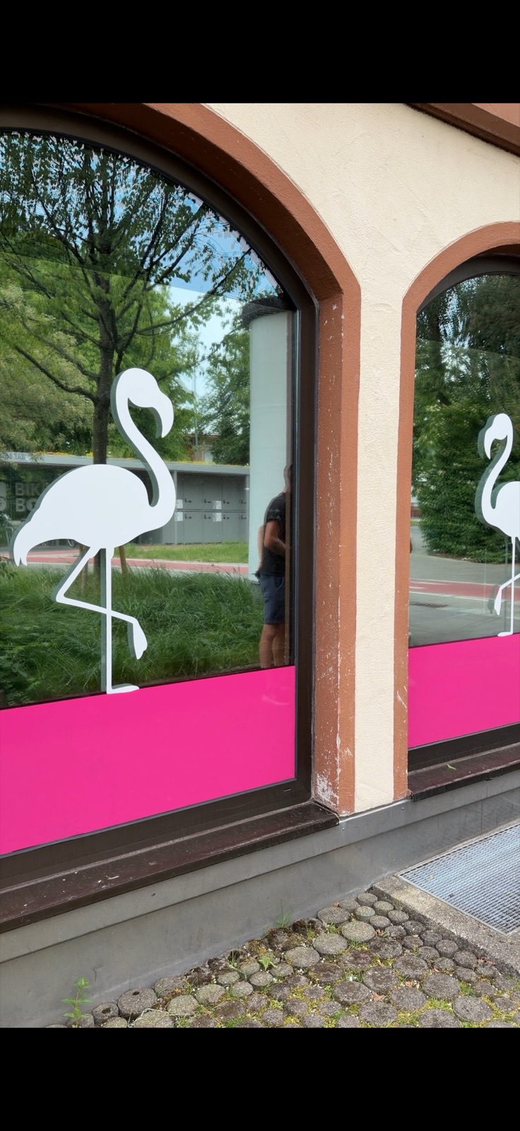 Pinkes Schaufenstermotiv mit Flamingos